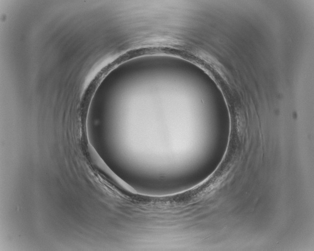 X0000070411069200606161405