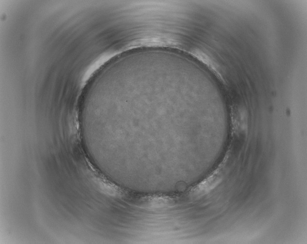 X0000070411070200606161405