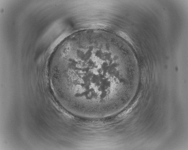 X0000070411071200606161405