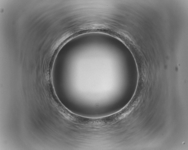 X0000070411073200606161405