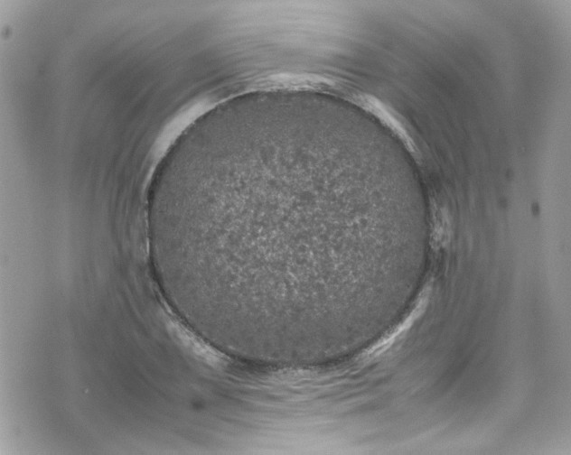 X0000070411075200606161405