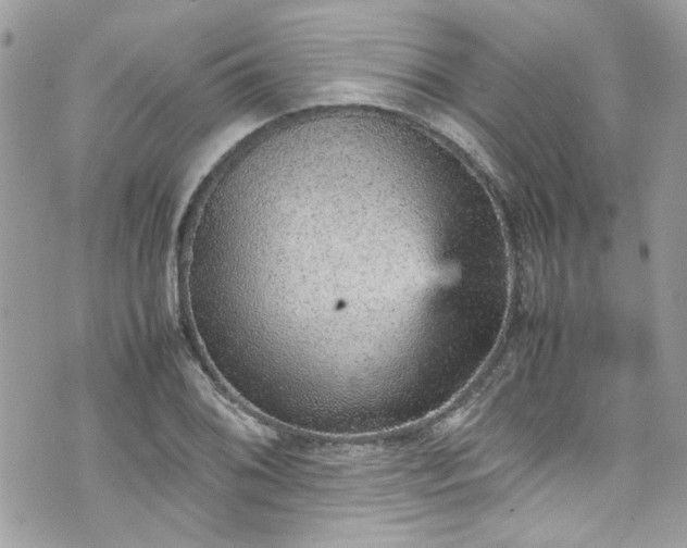 X0000070411076200606161405