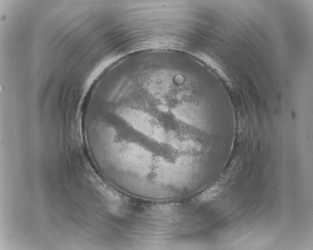 X0000070411078200606161405