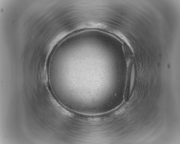 X0000070411080200606161405