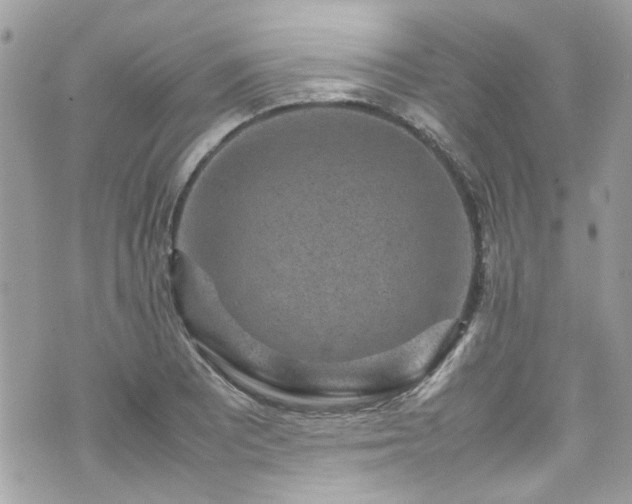 X0000070411081200606161405