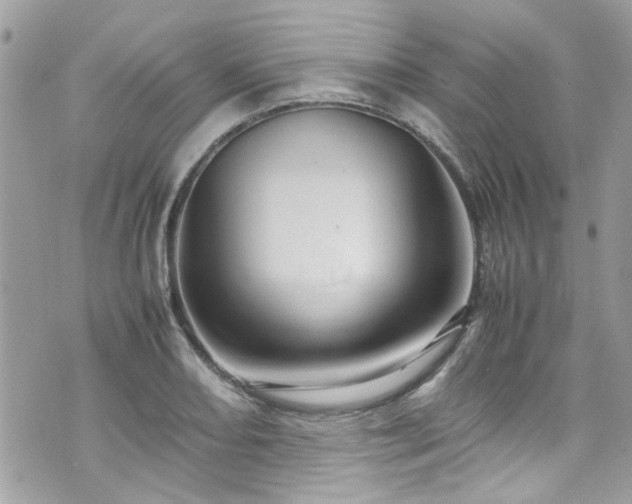 X0000070411082200606161405