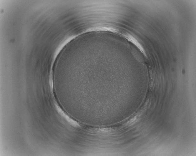 X0000070411084200606161405