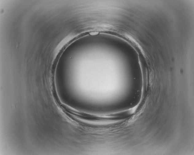 X0000070411085200606161405