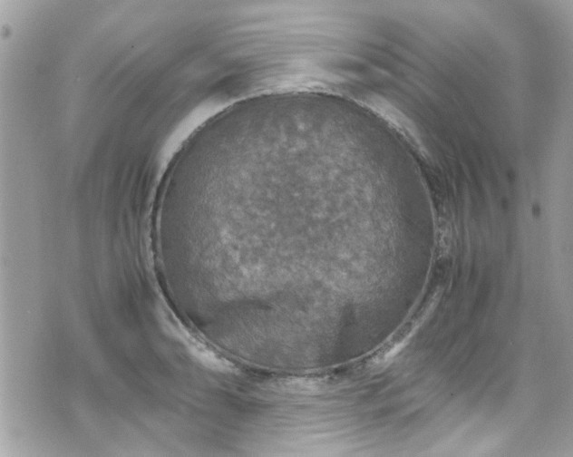 X0000070411086200606161405