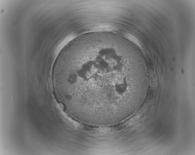 X0000070411087200606161405