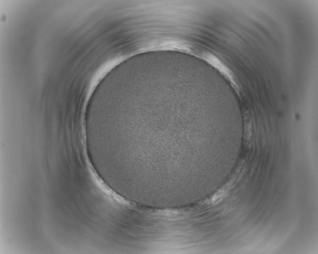 X0000070411088200606161405