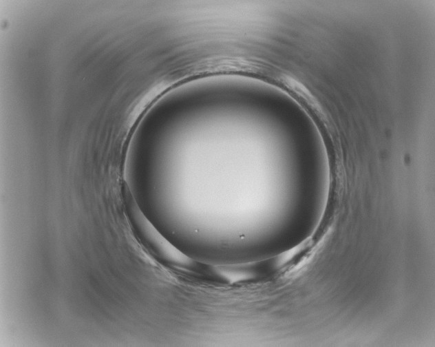 X0000070411089200606161405