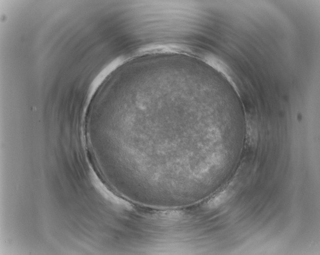 X0000070411090200606161405