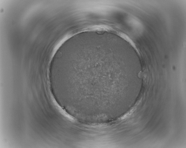 X0000070411091200606161405