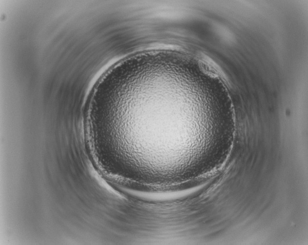 X0000070411092200606161405