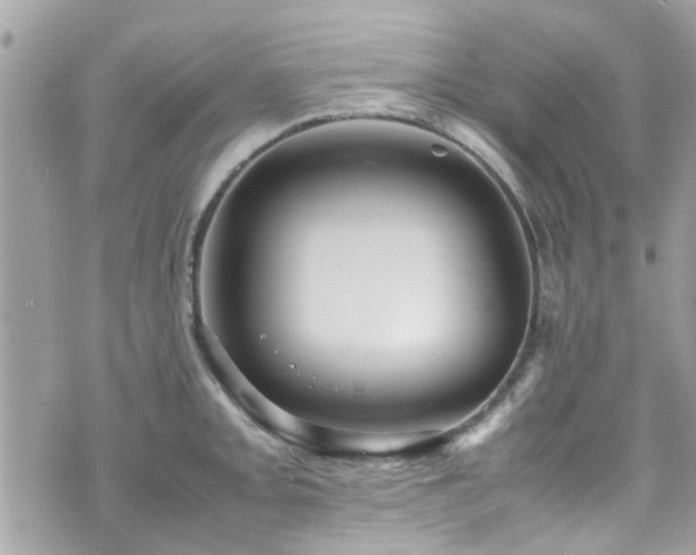 X0000070411093200606161405