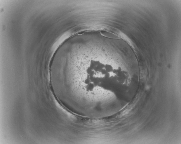 X0000070411095200606161405