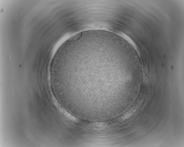 X0000070411096200606161405