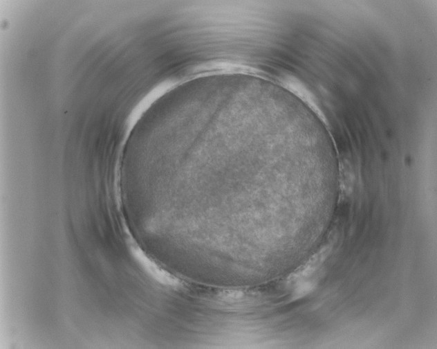 X0000070411098200606161405