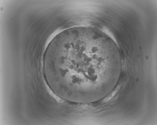 X0000070411099200606161405