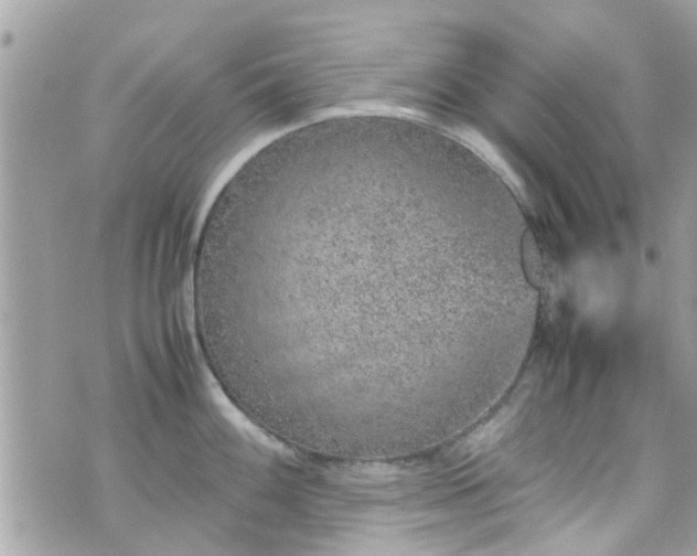 X0000070411100200606161405