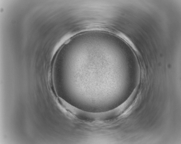 X0000070411101200606161405