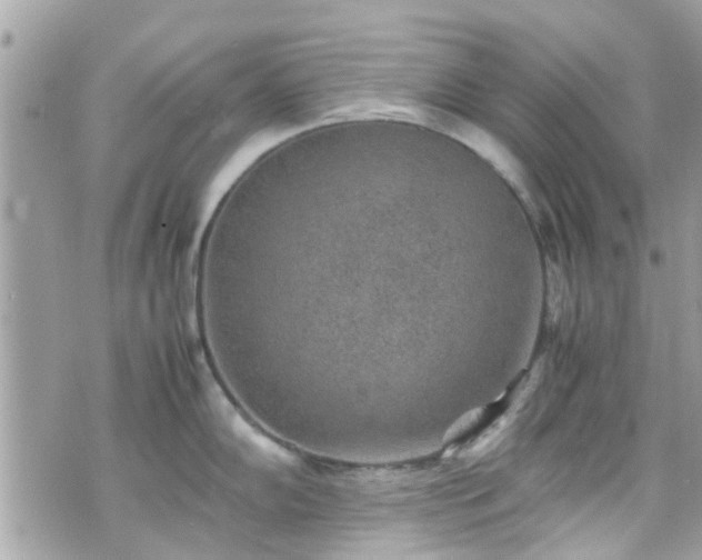 X0000070411102200606161405