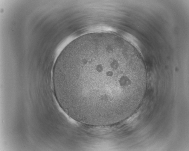 X0000070411103200606161405