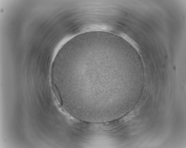 X0000070411104200606161405