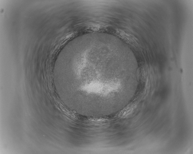 X0000070411105200606161404