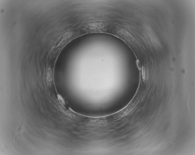 X0000070411107200606161404