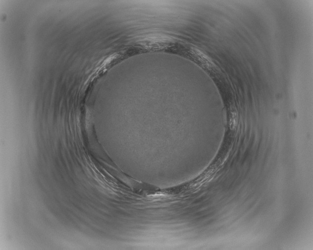 X0000070411108200606161404