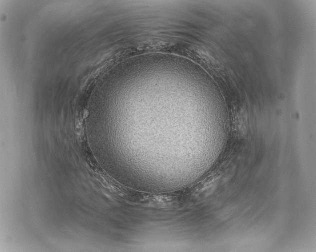 X0000070411109200606161404