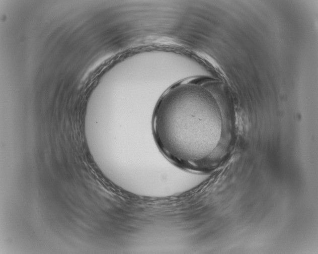 X0000070411112200606161404