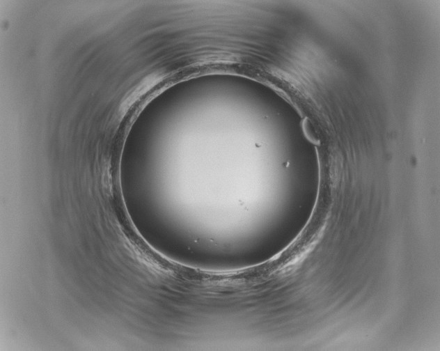 X0000070411113200606161404