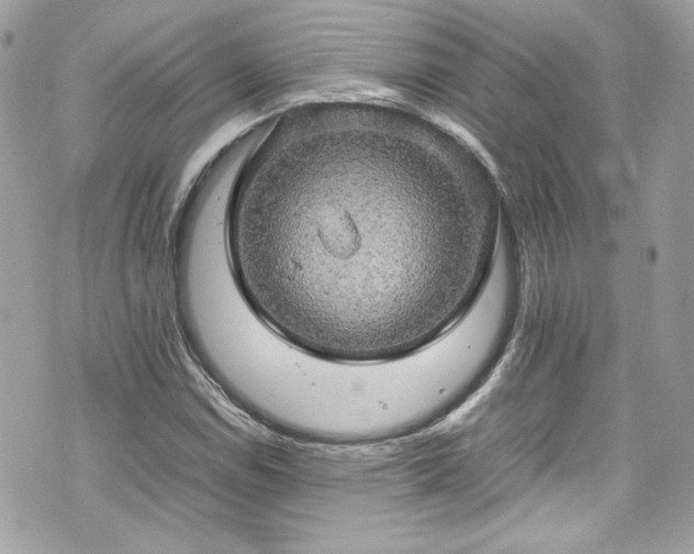 X0000070411114200606161404