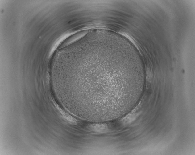 X0000070411115200606161404