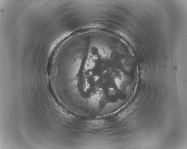 X0000070411117200606161404