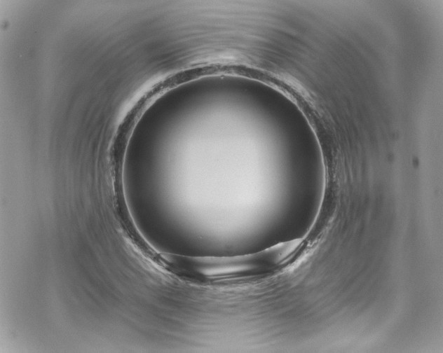 X0000070411118200606161404