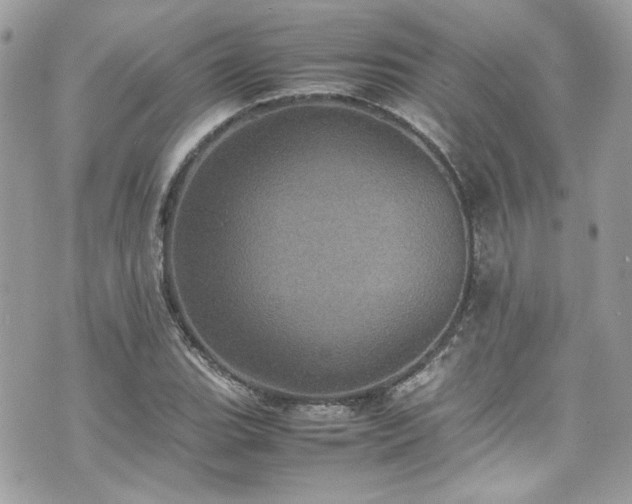 X0000070411119200606161404