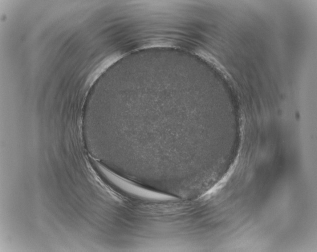 X0000070411121200606161404