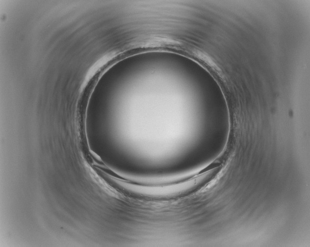 X0000070411122200606161404