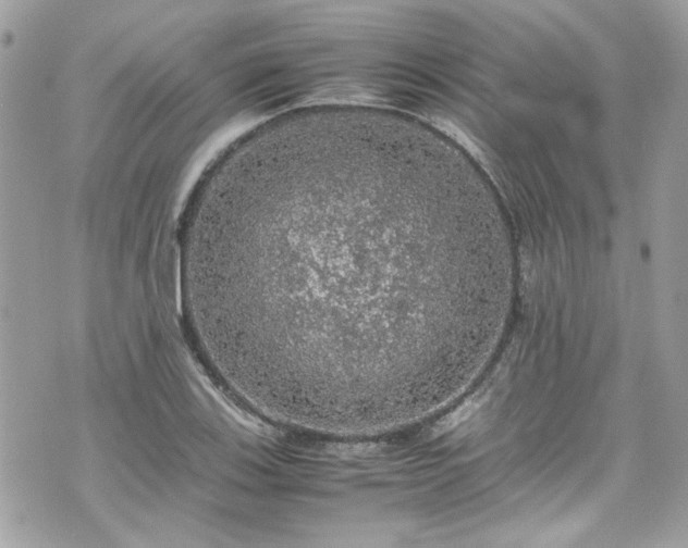 X0000070411123200606161404