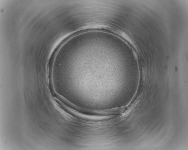 X0000070411124200606161404