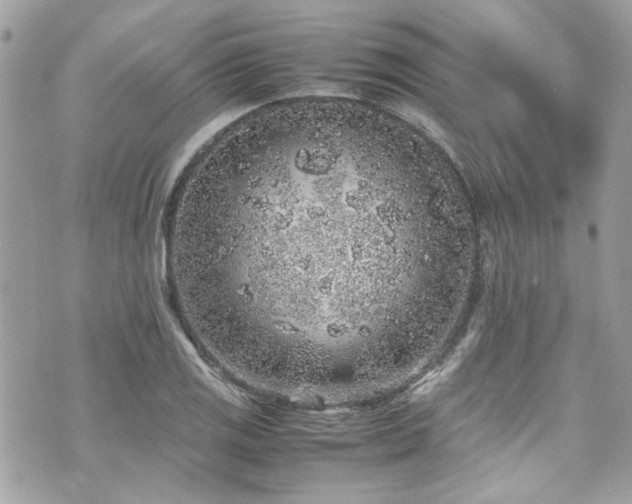 X0000070411125200606161404