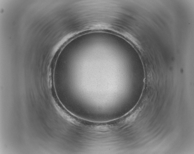 X0000070411126200606161404