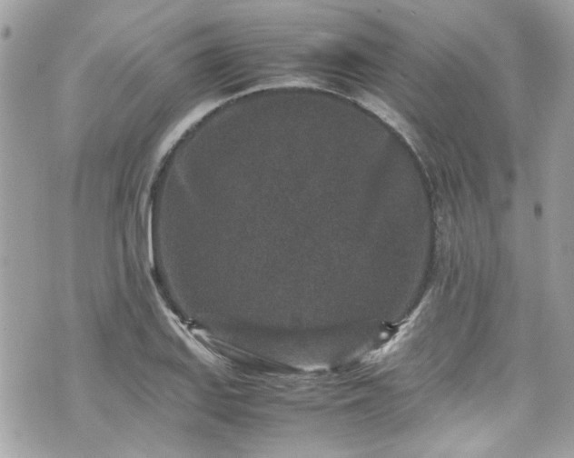 X0000070411127200606161404