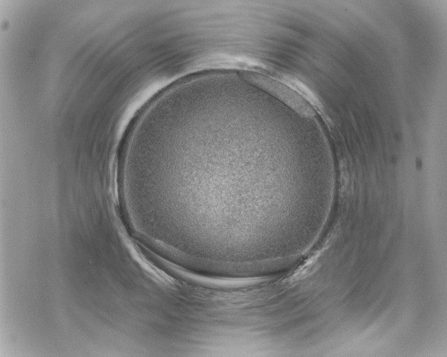 X0000070411128200606161404