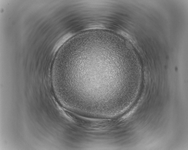 X0000070411129200606161404