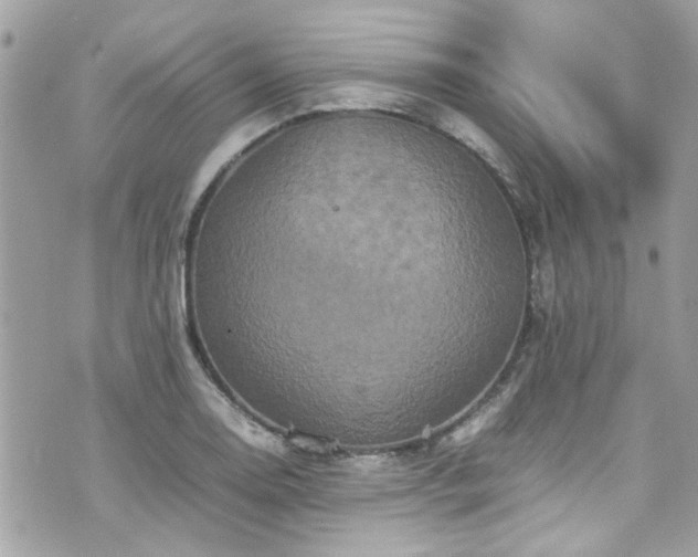 X0000070411130200606161404